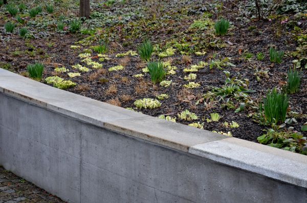 Concrete Wall Construction in Coeur D Alene