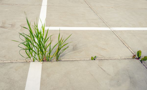 Concrete Parking Installation in Coeur D Alene